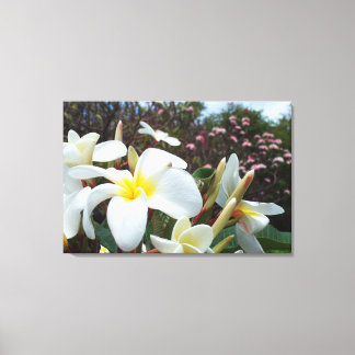 Plumeria Canvas Print 1