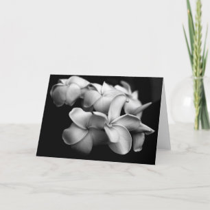 Plumeria Card