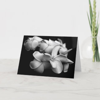Plumeria Card