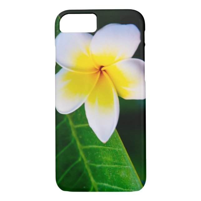 plumeria Case-Mate iPhone case (Back)