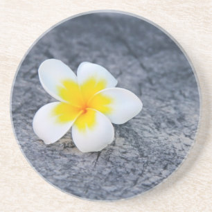 Plumeria Coaster