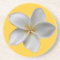 Plumeria Coaster