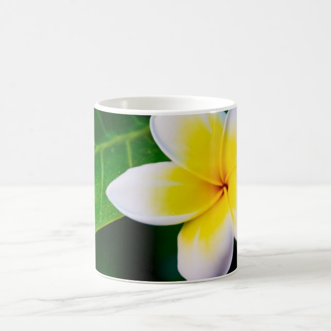 plumeria coffee mug (Center)