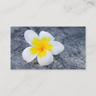 plumeria enclosure card