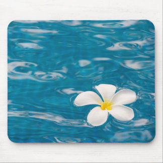 Plumeria Flower Mouse Pad