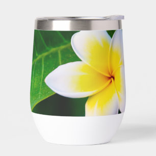 Plumeria Flower Photography