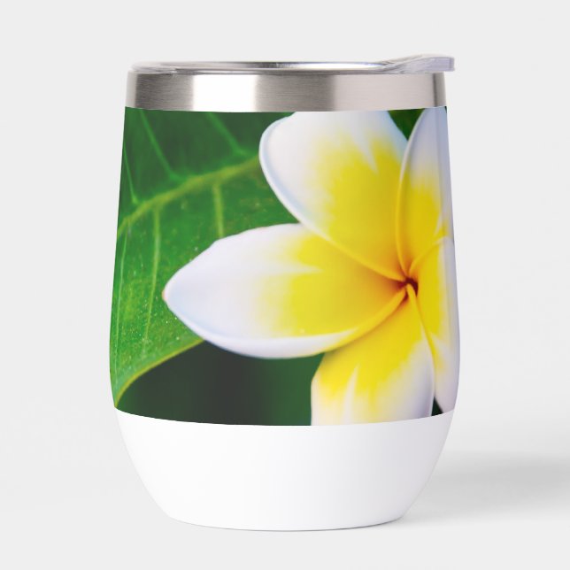 Plumeria Flower Photography (Left)