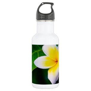 Plumeria Flower Photography 532 Ml Water Bottle