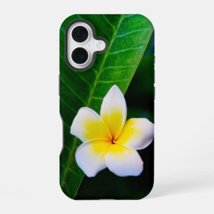 Plumeria Flower Photography iPhone 16 Case
