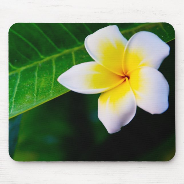 Plumeria Flower Photography Mouse Pad (Front)