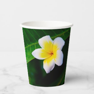 Plumeria Flower Photography Paper Cups