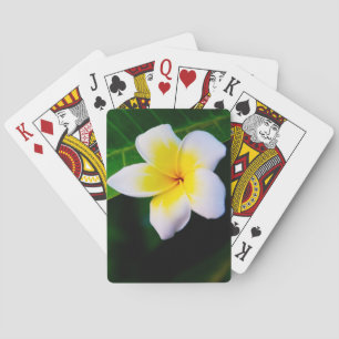 Plumeria Flower Photography Playing Cards