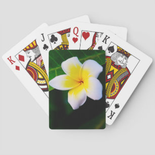Plumeria Flower Photography Playing Cards