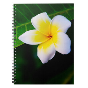 Plumeria Flower Photography Spiral Notebook