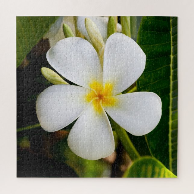 Plumeria Flowera with Leaves Jigsaw Puzzle (Vertical)