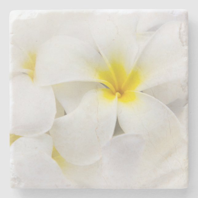 Plumeria Flowers Hawaiian Frangipani Floral Flower Stone Coaster (Front)