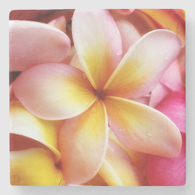 Plumeria Flowers Hawaiian Frangipani Floral Stone Coaster (Front)