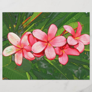 plumeria flyer
