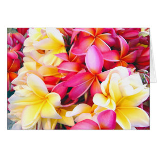 Plumeria Frangipani Floral Photo Digital Painting