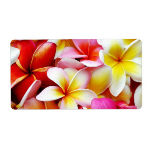 Plumeria Frangipani Hawaii Flower Customised