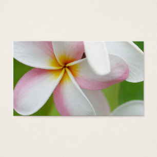 Plumeria Frangipani Hawaii Flower Customised Blank