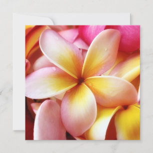 Plumeria Frangipani Hawaii Flower Customised Blank
