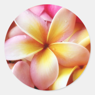Plumeria Frangipani Hawaii Flower Customised Blank Classic Round Sticker