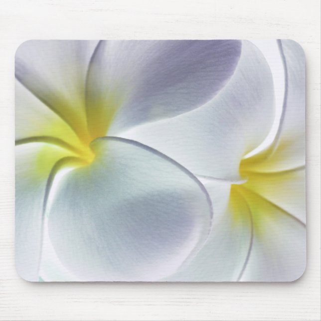 Plumeria Frangipani Hawaii Flower Customised Blank Mouse Pad (Front)