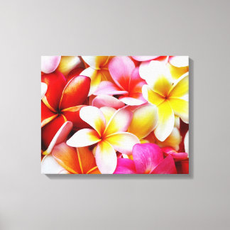 Plumeria Frangipani Hawaii Flower Customised Canvas Print