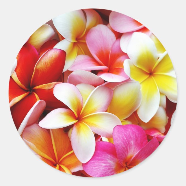 Plumeria Frangipani Hawaii Flower Customised Classic Round Sticker (Front)
