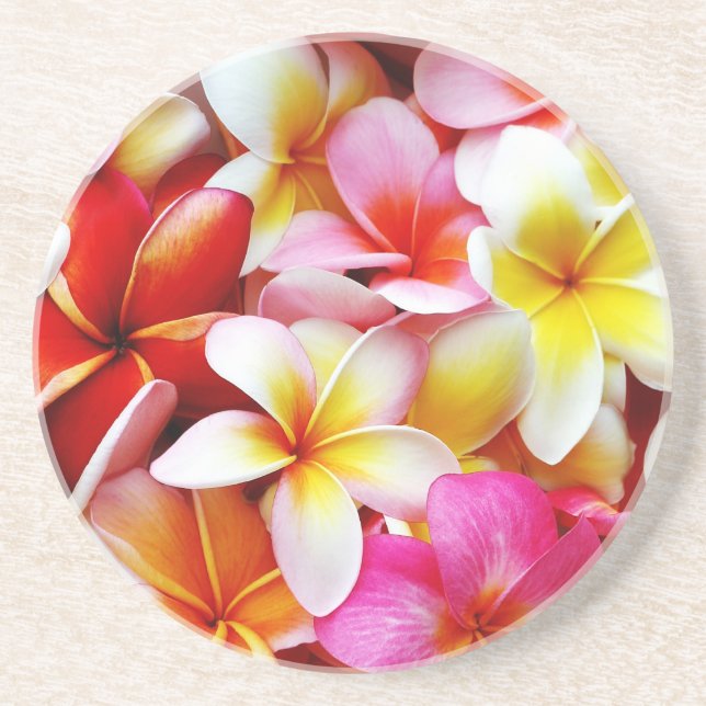 Plumeria Frangipani Hawaii Flower Customised Coaster (Front)