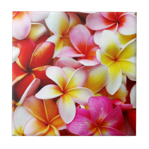 Plumeria Frangipani Hawaii Flower Customised Tile