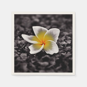 Plumeria Frangipani Hawaii Flower Napkin