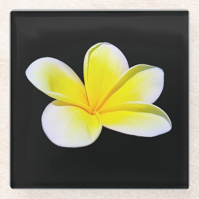 Plumeria Glass Coaster (Front)