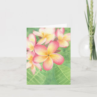 Plumeria Greeting Card