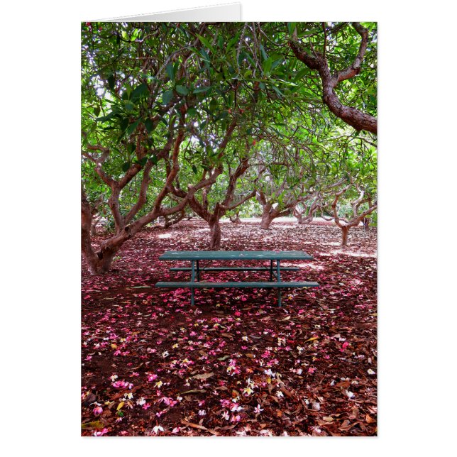 Plumeria Grove (Front)