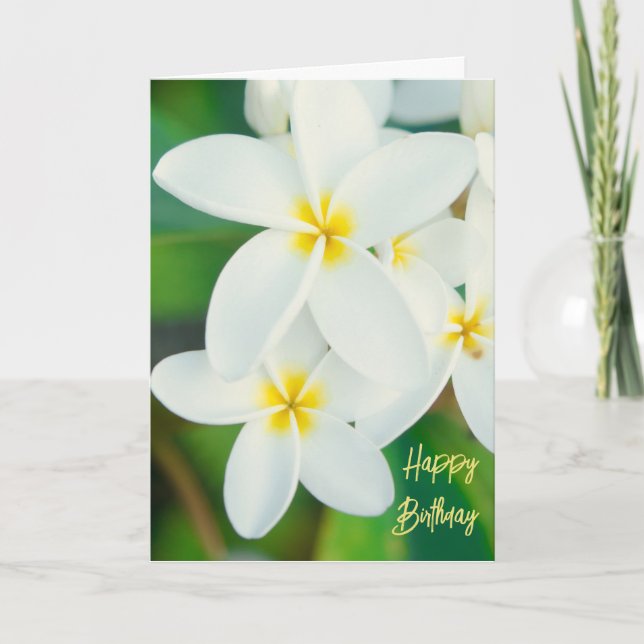 Plumeria Happy Birthday Card (Front)