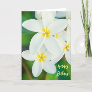 Plumeria Happy Birthday Card