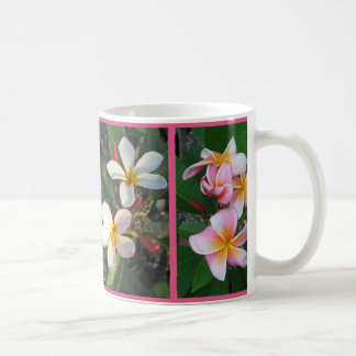 Plumeria Hawaiian Flowers in Collage on Mug