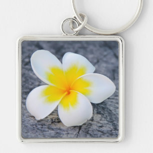 Plumeria Key Ring