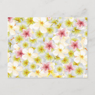 Plumeria Love Me Postcard