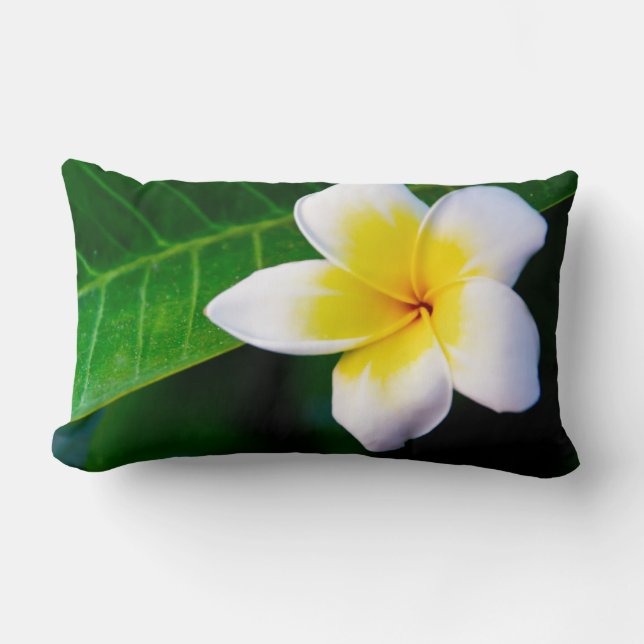 plumeria lumbar cushion (Front)