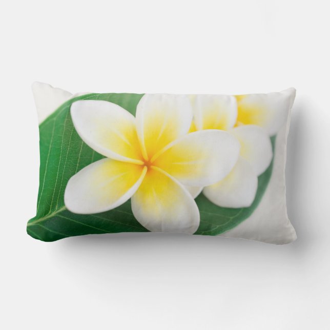 plumeria lumbar cushion (Front)