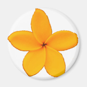 Plumeria Magnet
