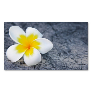 plumeria magnetic business card
