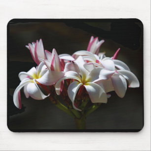 Plumeria Mousepad