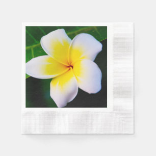 plumeria napkin