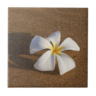 Plumeria on sandy beach, Maui, Hawaii, USA Tile