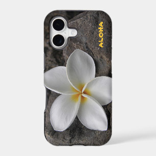 Plumeria on the rocks