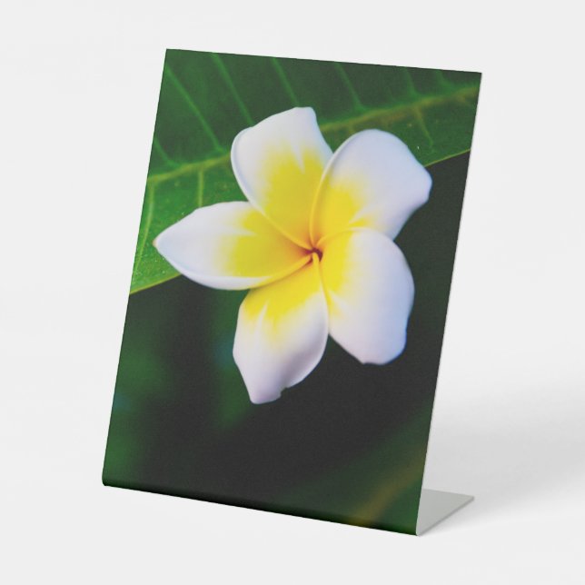 plumeria pedestal sign (Front)
